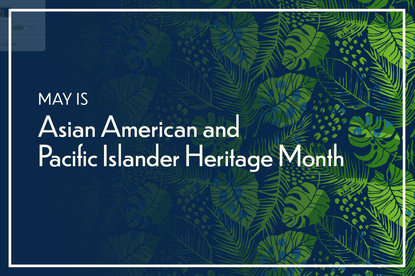 Asian American and Pacific Islander Month